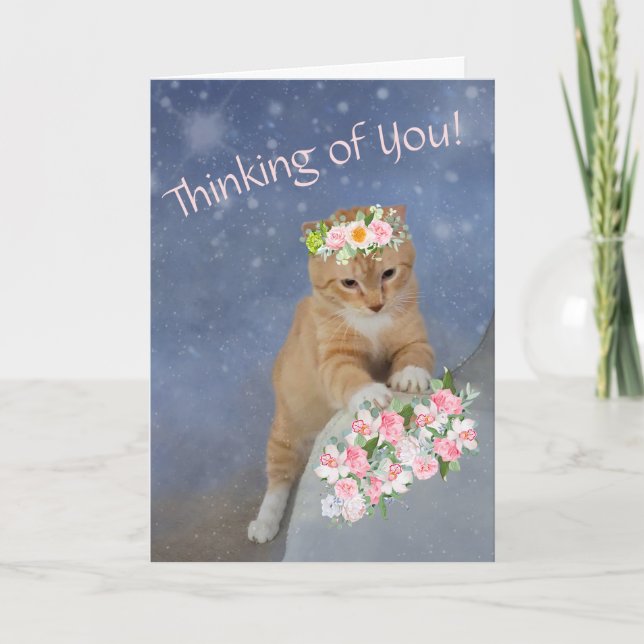 Sweet Kitten and Blume Cancer Support Karte (Vorderseite)