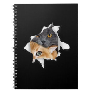 Sweet Kitten Couple | Funny Cat Lover Geschenk Notizblock