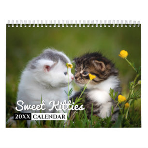 Sweet Kitties 2022 Calendrier de mur photo