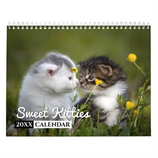 Sweet Kitties Calendrier de mur photo (Protection)