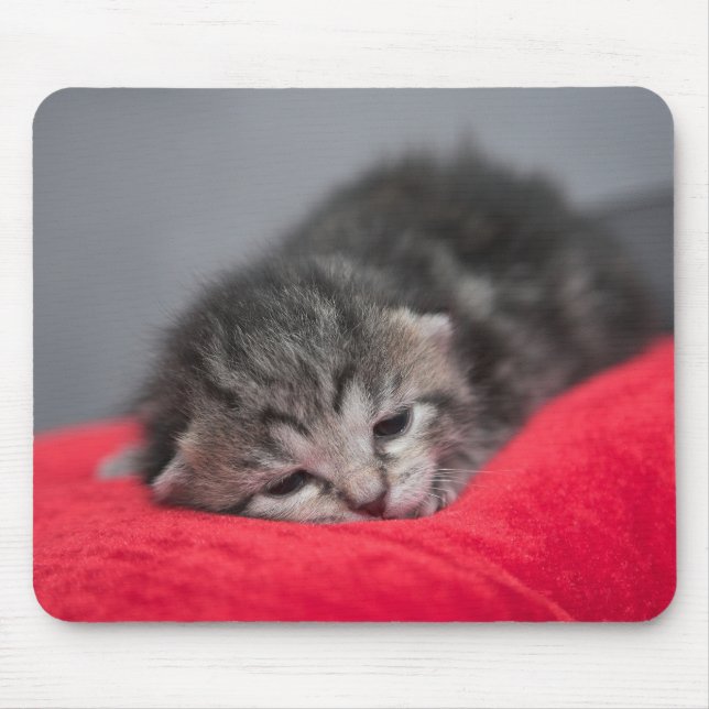 Sweet kitty mousepad (Vorne)