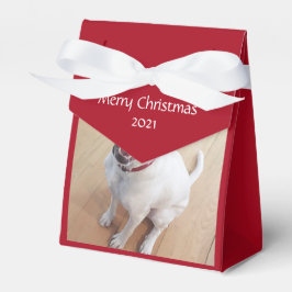 Sweet lächelnd White Reinreder Dog Weihnachten Rot Geschenkschachtel