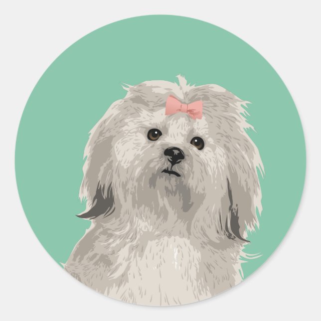 Sweet Lhasa Apso Aufkleber für Hundefreunde (Vorderseite)