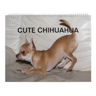 Sweet Little Chihuahua 2023 Kalender