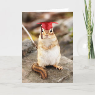 Sweet Little Chipmunk Graduate Greeting Card Karte