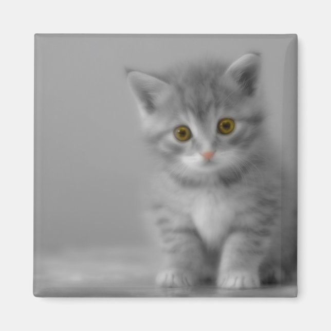 Sweet Little Kitten Magnet (Vorne)