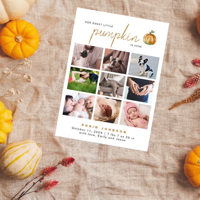 Sweet Little Pumpkin 9 Foto Collage Baby Dusche Dankeskarte (Von Creator hochgeladen)