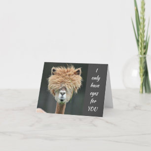 **SWEET LLAMA** WILL, "NUR WICHTIGE" ZU SAGEN FEIERTAGSKARTE