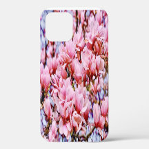 Sweet Magnolia - Der Frühling ist da