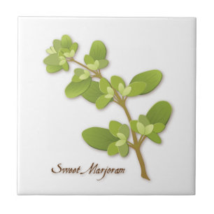Sweet Marjoram Herb Keramik Tile Fliese