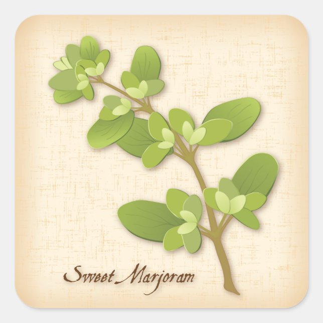 Sweet Marjoram Herb Square Sticker (Vorderseite)