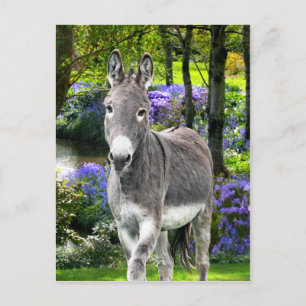 "Sweet Oaster" Postkarte