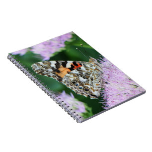 Sweet Painted Lady Notizblock
