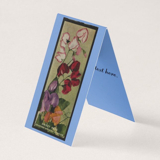 Sweet Pea Blume Antik-Packkarte (Vorderseite)