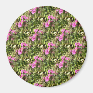 Sweet Pea Lace...... Magnet