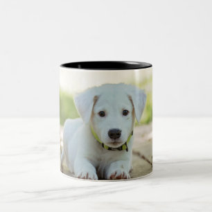 Sweet Puppy Zweifarbige Tasse