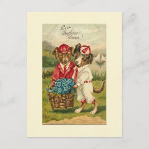 Sweet Pups Beste Geburtstagswünsche Postkarte