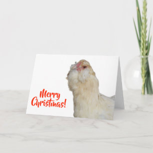 Sweet Rare Wheaten Ameraucana Hen Frohe Weihnachte Karte