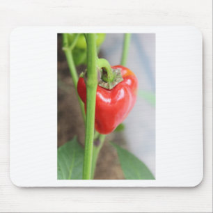 Sweet Red Pepper Mousepad