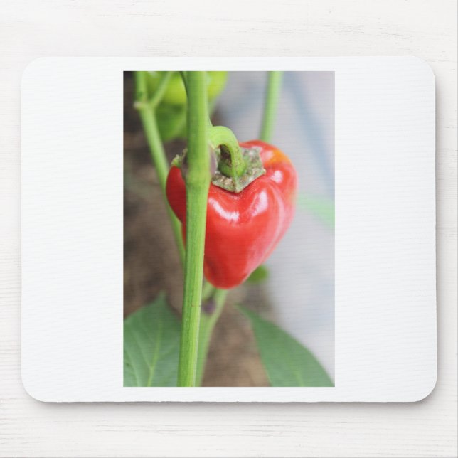 Sweet Red Pepper Mousepad (Vorne)