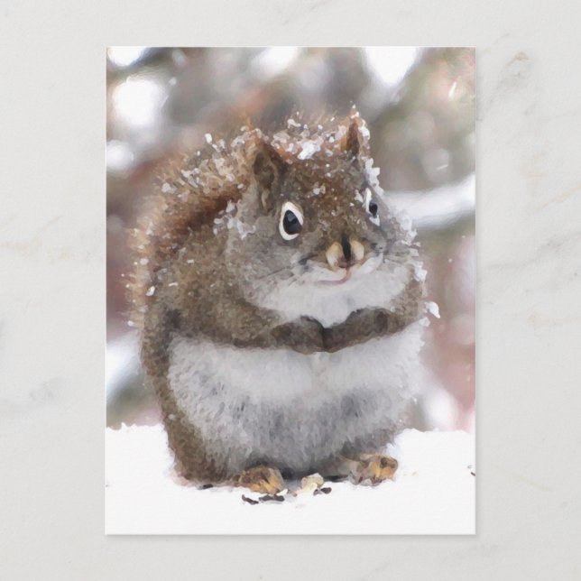Sweet Red Squirrel Postkarte (Vorderseite)