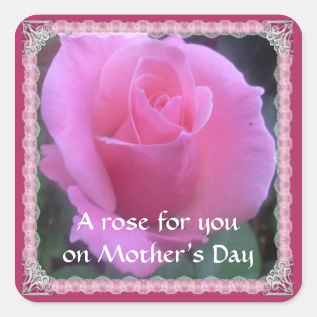 Sweet Rose Quadratischer Aufkleber (Vorderseite)