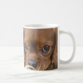 Sweet Ruby Cavalier King Charles Spaniel Kaffeetasse