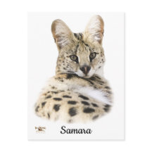 Sweet Samara