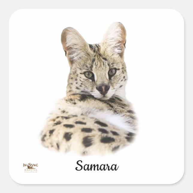 Sweet Samara Quadratischer Aufkleber (Vorderseite)