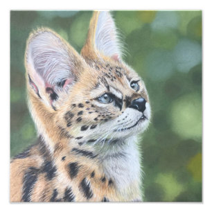 Sweet Serval Fotodruck