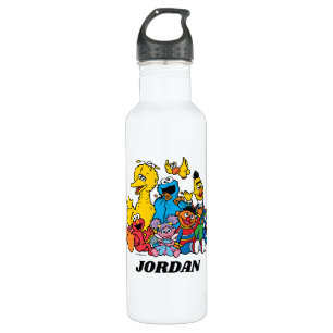 Sweet Sesame Street Pals Edelstahlflasche