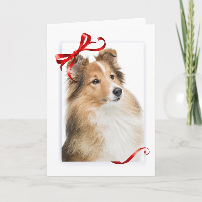 Sweet Sheltie Weihnachtskarte Feiertagskarte (Vorderseite)