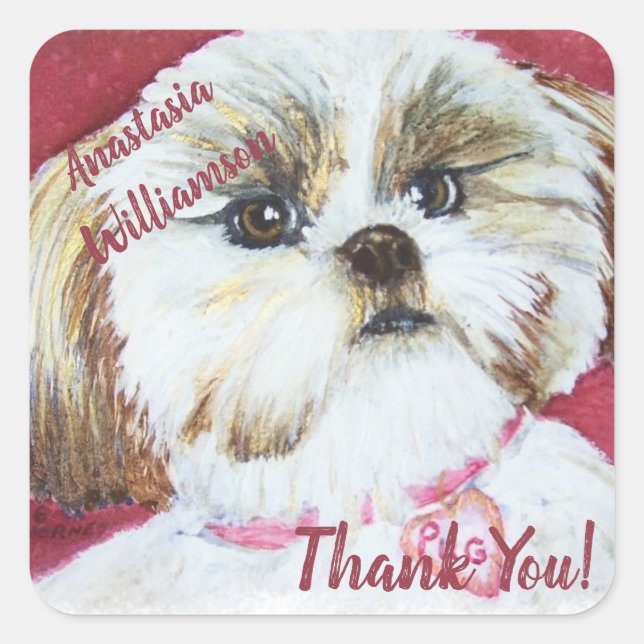 Sweet Shih Tzu DANK Quadratischer Aufkleber (Vorderseite)
