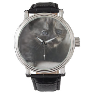 Sweet Shy Tortoiseshell Baby Armbanduhr