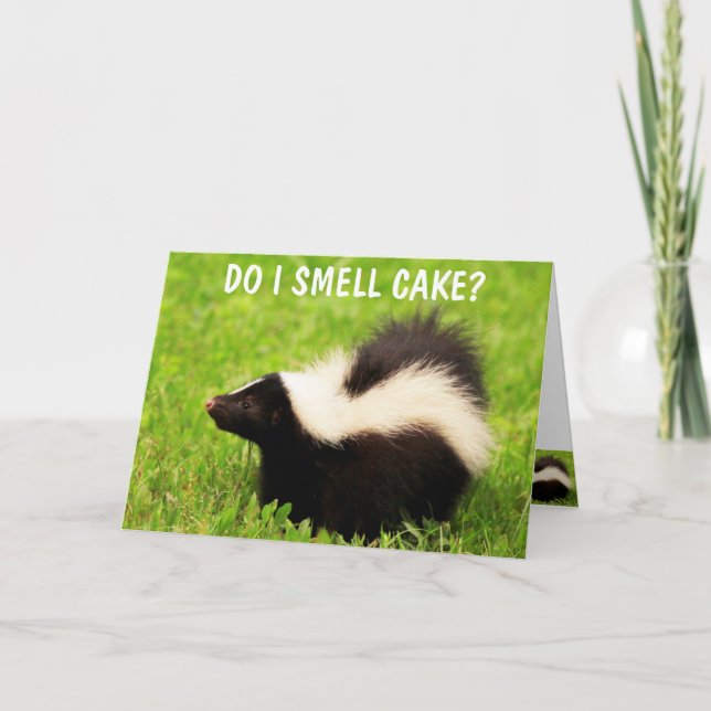 Sweet Skunk Birthday Card Karte (Vorderseite)