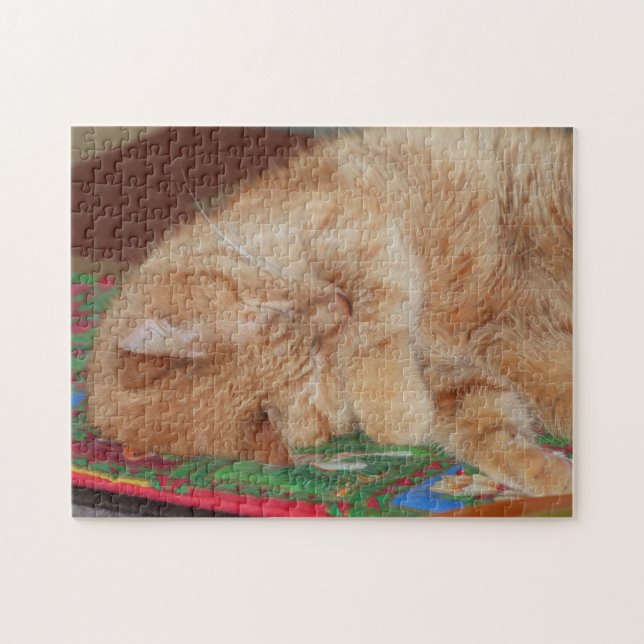 Sweet Sleeping Ginger Boy (Horizontal)