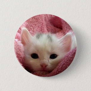 Sweet soft kitty button