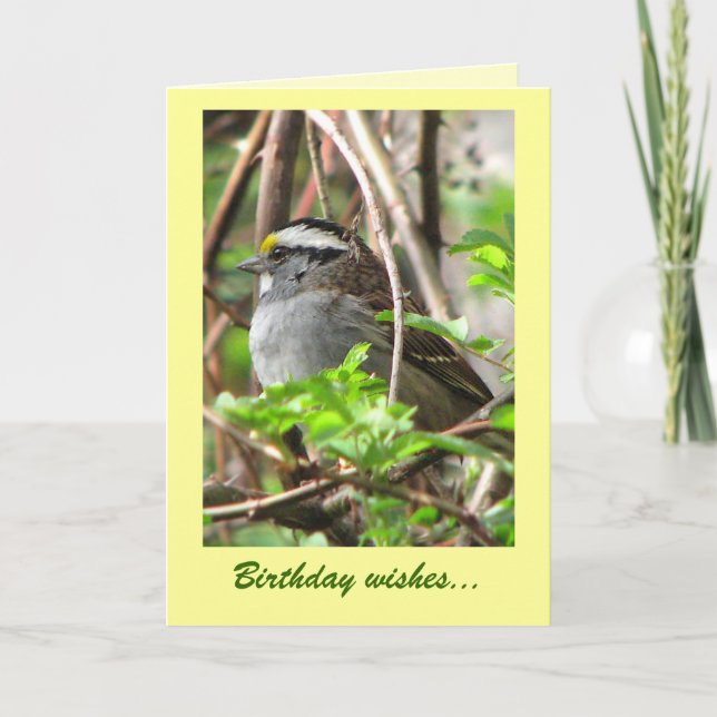 Sweet Sparrow Geburtstag Karte (Vorderseite)