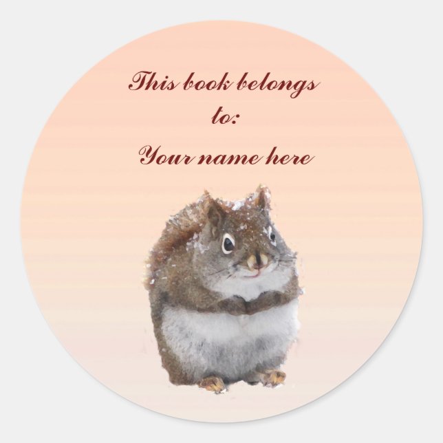 Sweet Squirrel Bookplate Runder Aufkleber (Vorderseite)