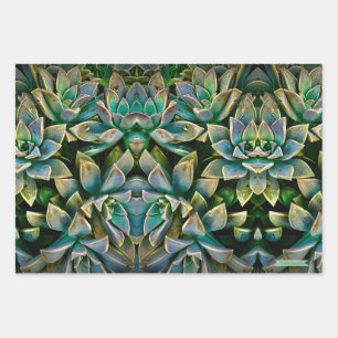 Sweet Succulent Wrapping Paper Sheets Geschenkpapier Set
