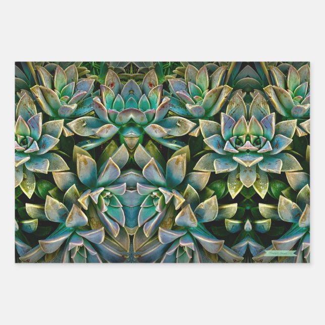 Sweet Succulent Wrapping Paper Sheets Geschenkpapier Set (Vorderseite)