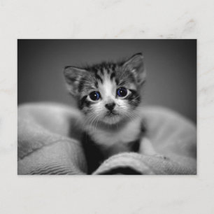 Sweet Tabby Kitten Postkarte