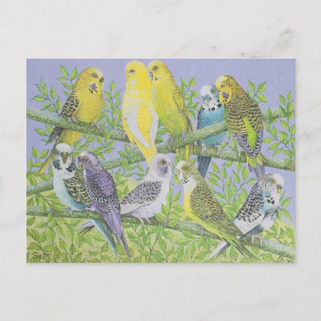 Sweet Talking Postkarte (Vorderseite)