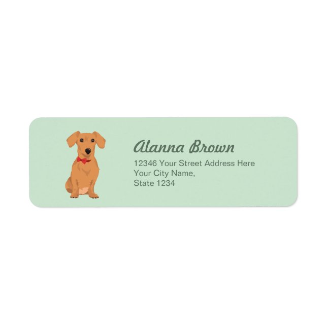 Sweet Tan Dachsund mit Neck Ribbon für Hundefreund (Vorne)