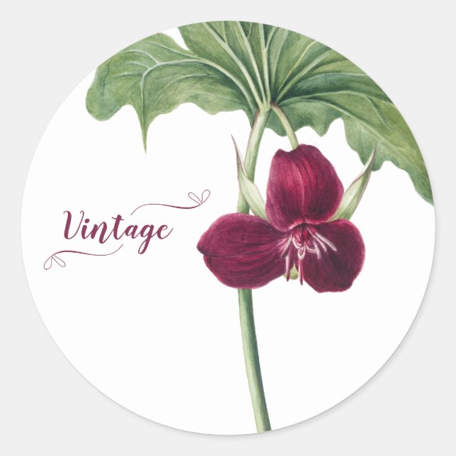 Sweet Trillium Botanical Runder Aufkleber (Vorderseite)