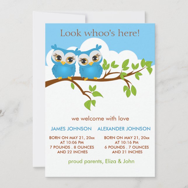 Sweet Twins Owls Baby Boy Faire-part de naissance  (Devant)