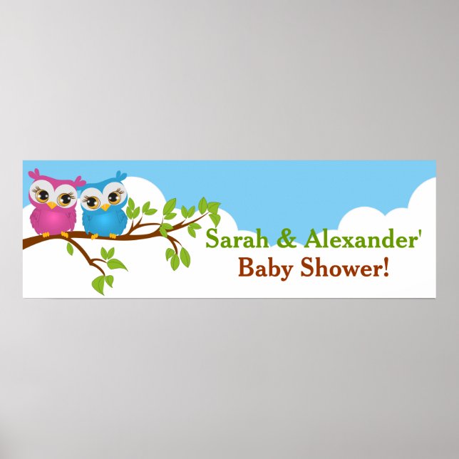 Sweet Twins Owls Boy Girl Baby Showbanner Poster (Vorne)