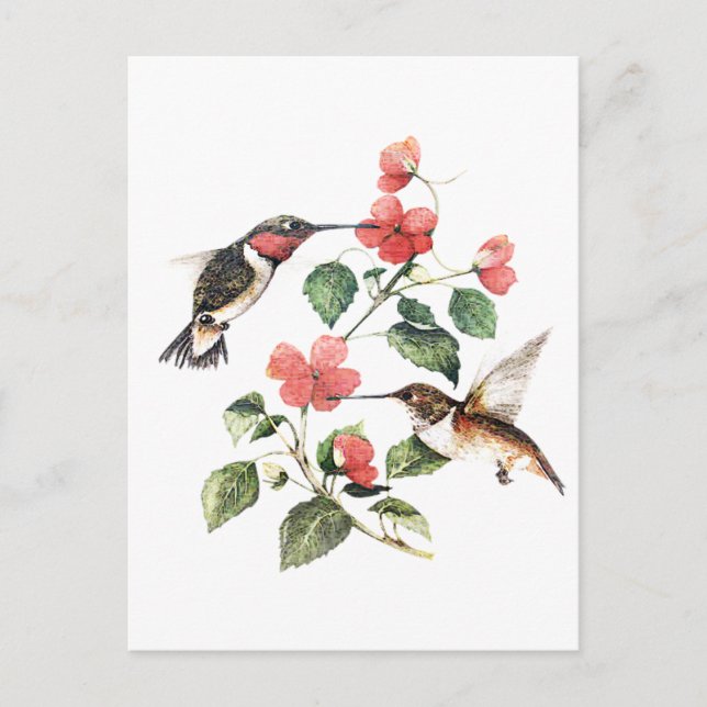Sweet Vintag Floral Hummingbirds Pair Postkarte (Vorderseite)