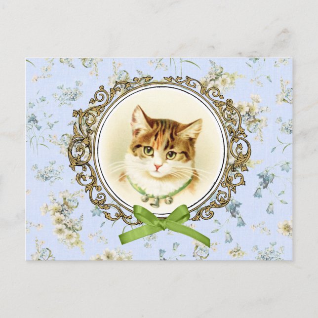 Sweet Vintag Katzenportrait Postkarte (Vorderseite)