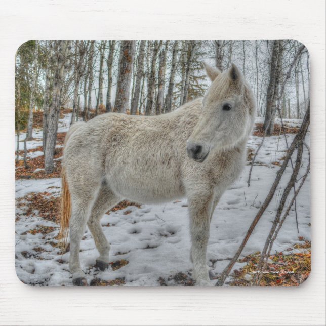 Sweet White Mare and Winter Forest Gift Mousepad (Vorne)